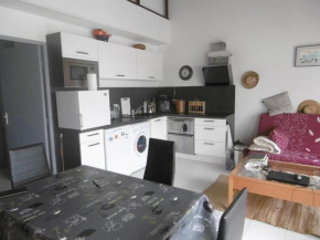 Appartement Sète, 2 pièces, 4 personnes - FR-1-472-154